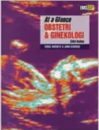 Image of At A Glance Obstetri Dan Ginekologi Ed 2