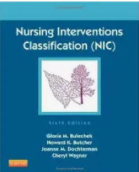 Image of Nursing Interventions Classification Sixth Edition